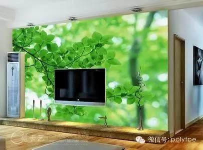 生活中的塑料之一客廳中的塑料知多少？