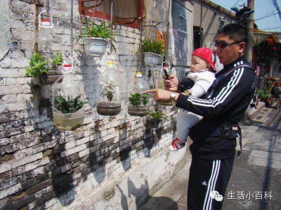 早知道塑料瓶养花种菜这么爽，还买什么花盆呢！