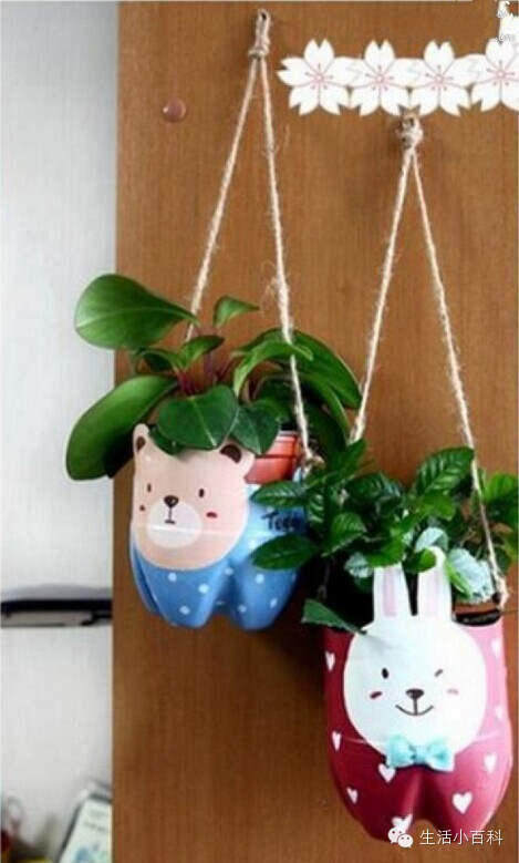 早知道塑料瓶养花种菜这么爽，还买什么花盆呢！