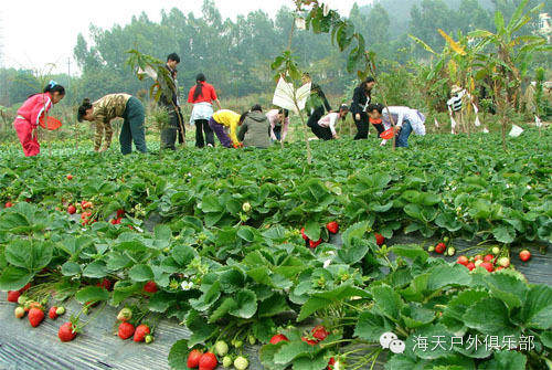 约么？2月1日高分子论坛线下活动---深圳东部海滨一日行