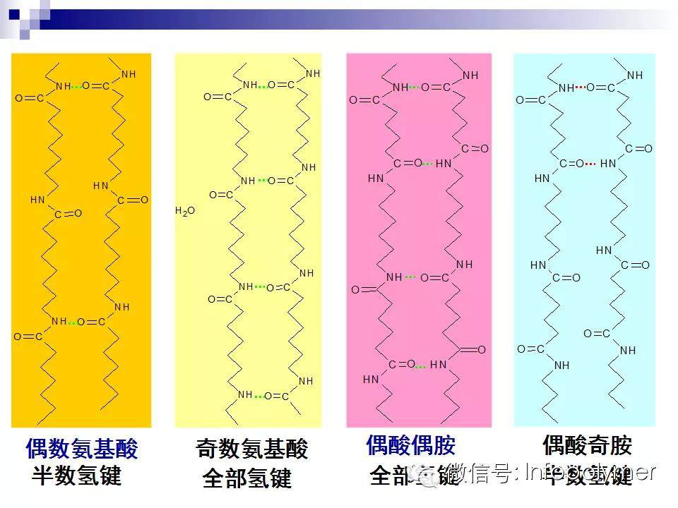 從尼龍的結構到性能
