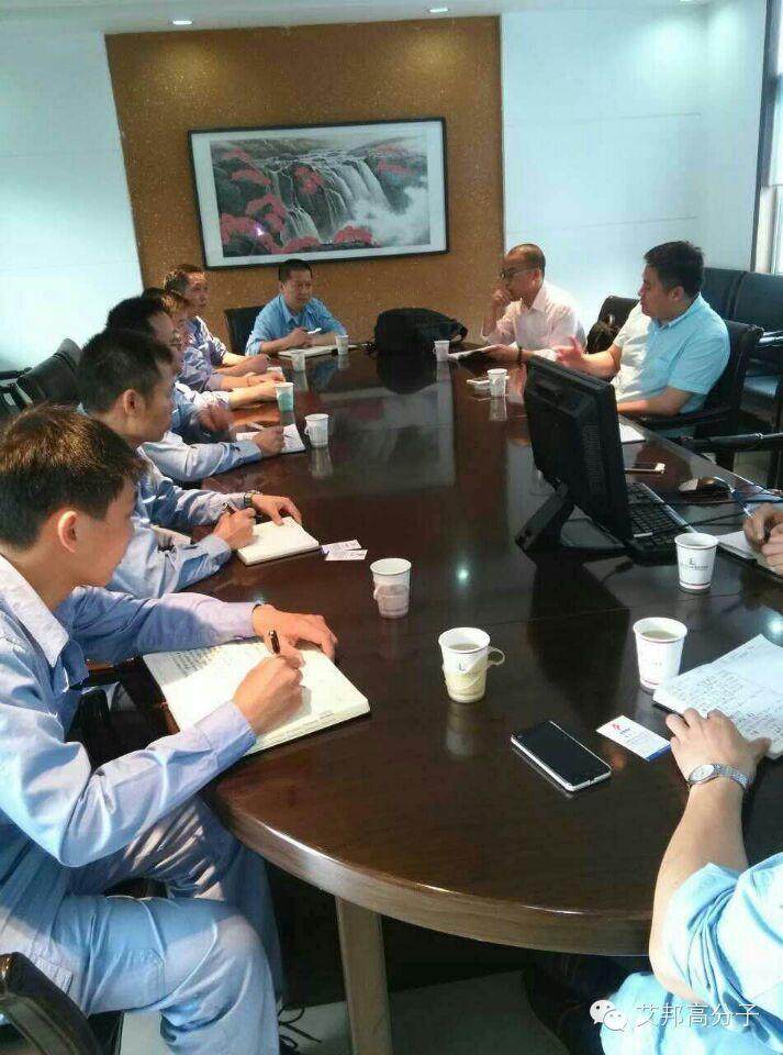中国巴陵石化和雄亚塑胶产品应用座谈会