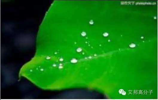 運用在汽車上的新材料，你的車上出現(xiàn)了嗎？