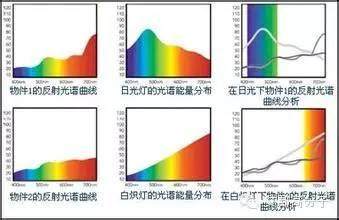 一文讀懂木塑