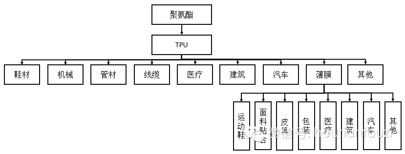 【明星企业】恒安股份：高速成长中的TPU新势力