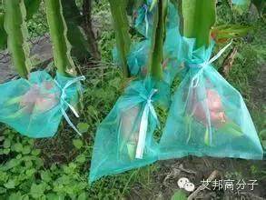 經驗分享：吹膜廠家如何選擇開口爽滑母粒？
