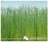 汽車輕量化技術的兩大發展方向