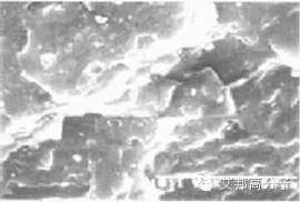 一文帶你讀懂偶聯劑