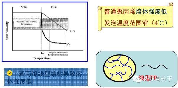 揭秘：近几年广泛应用于汽车上的可发泡材料-高熔体强度PP