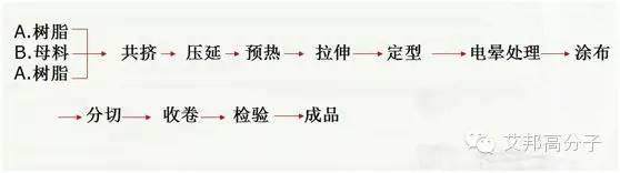 不使用水也不用木材，石頭紙介紹大全！