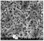 聚焦手機(jī)金屬外殼與納米注塑5大看點(diǎn)，12月4日昆山大會(huì)誠(chéng)邀您出席！