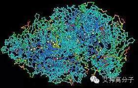 科普：什么是高分子？高分子材料时刻影响你的生活