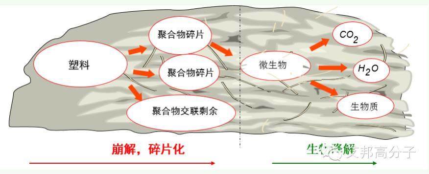 生物可降解塑料，你了解多少？