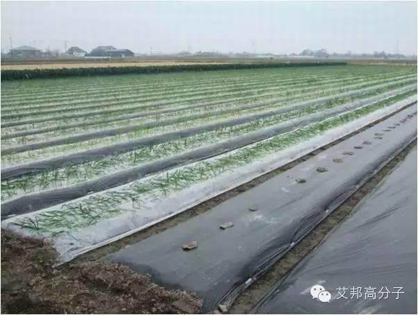 跟著教授級高工一起學習碳酸鈣