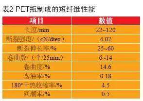 揭秘：PET瓶回收的九大技術或用途