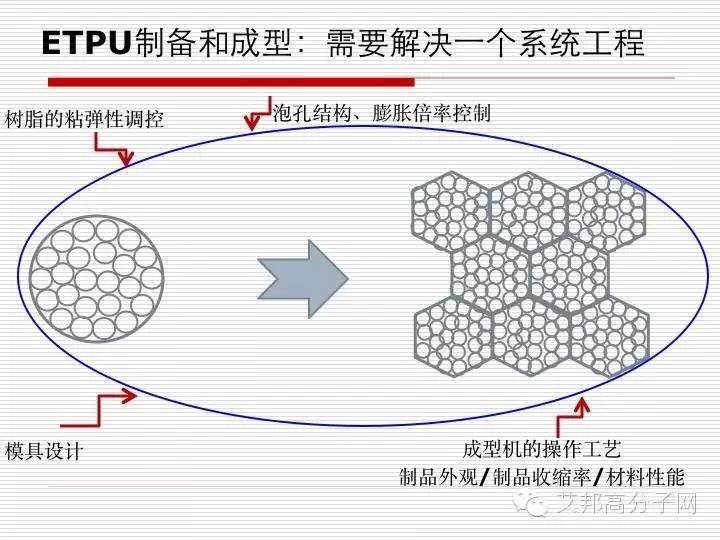 "爆米花"只是Adidas的宣传噱头吗？翟文涛博士为您解答！