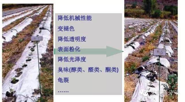 TPE該如何選擇抗氧劑？一文讀懂