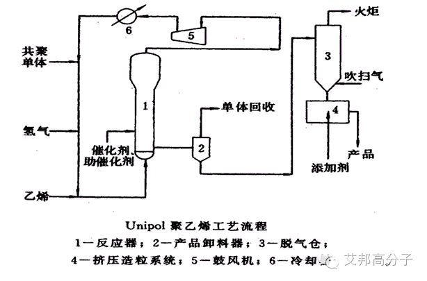 PE第二章 ▎正值考試季，PE的制備與鏈結構會考倒你嗎