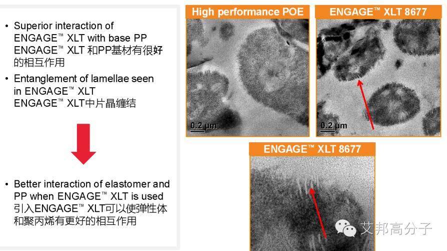高流動性TPO如何解決汽車輕量化與薄壁化？一文看懂