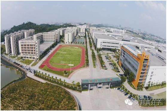 代工就能活得很好，為何還要做自己的品牌？金立是這樣回答的