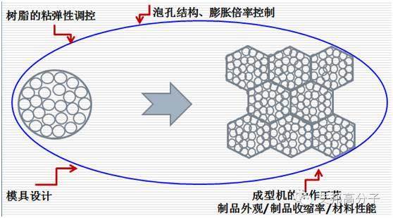 【視頻】巴斯夫E-TPU材料在鞋子中如何發(fā)揮其性能？