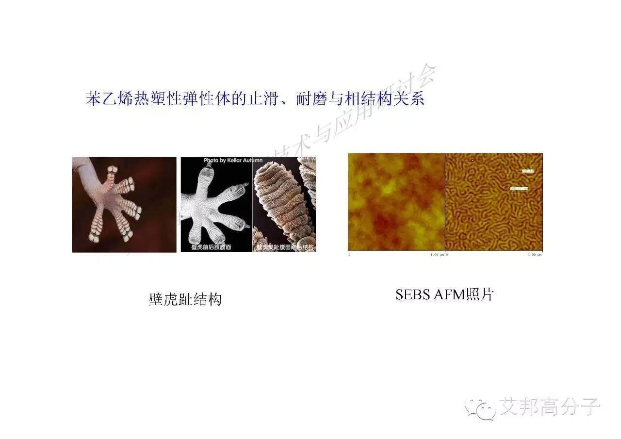川大張愛(ài)民教授手把手教你如何學(xué)習(xí)彈性體！