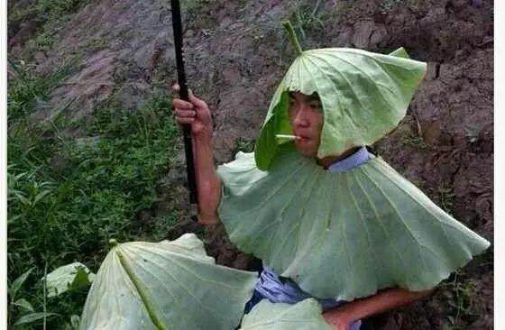 一個(gè)技術(shù)轉(zhuǎn)銷售的心路歷程！