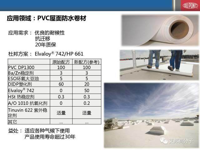 杜邦乙烯共聚物在聚合物改性中的應用（會議視頻）
