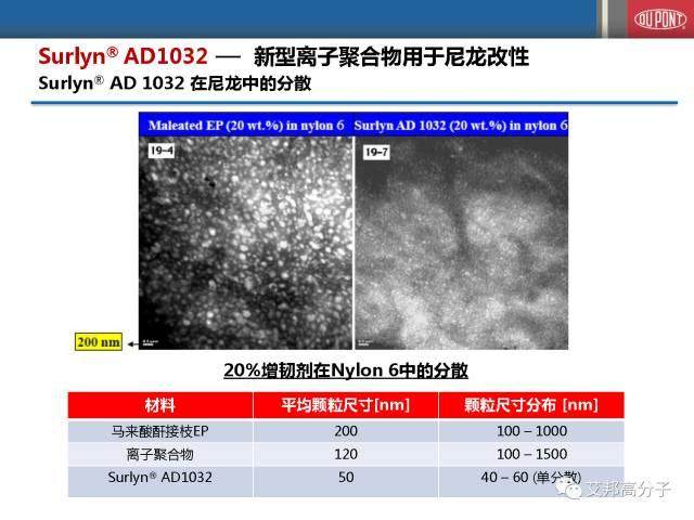 杜邦乙烯共聚物在聚合物改性中的應用（會議視頻）