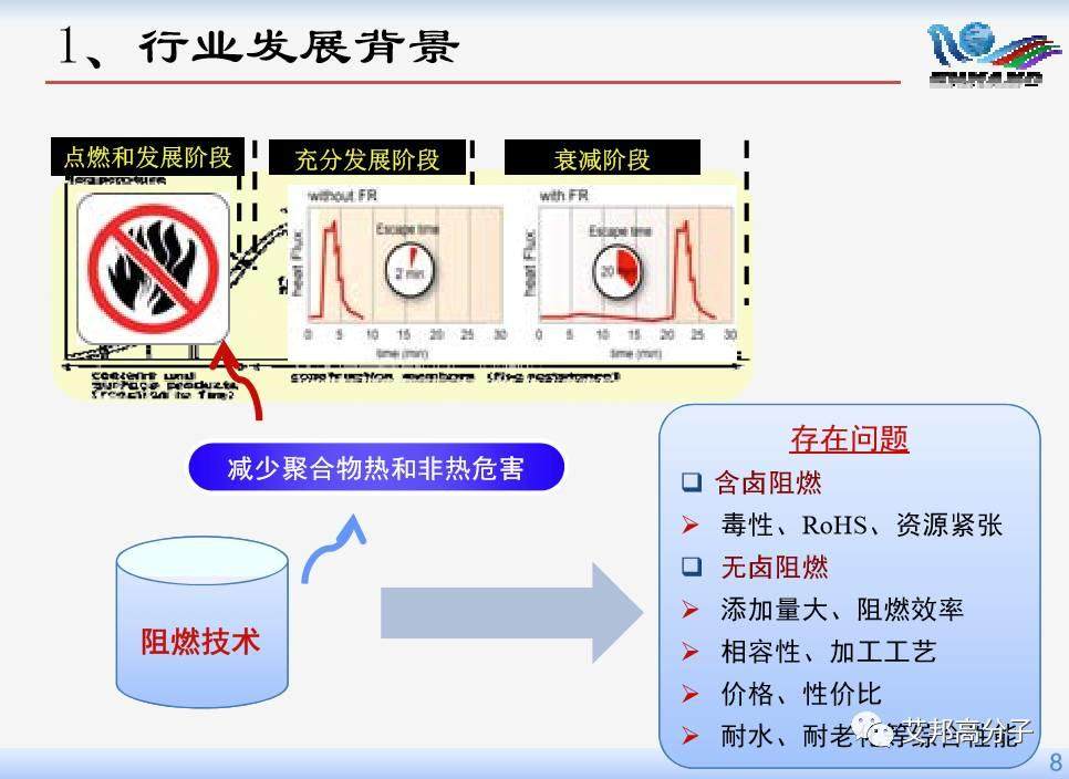 【视频】台启龙博士：国内外无卤阻燃剂的研究与开发进展