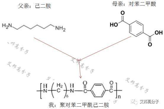 我是PA6T，高温尼龙中的“郭靖”，这是我的简历