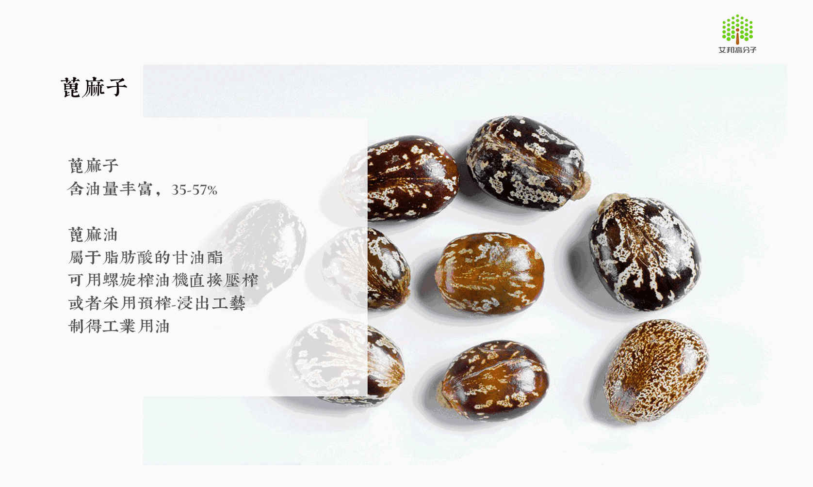 一種代表民族品牌的高溫工程塑料：PA10T