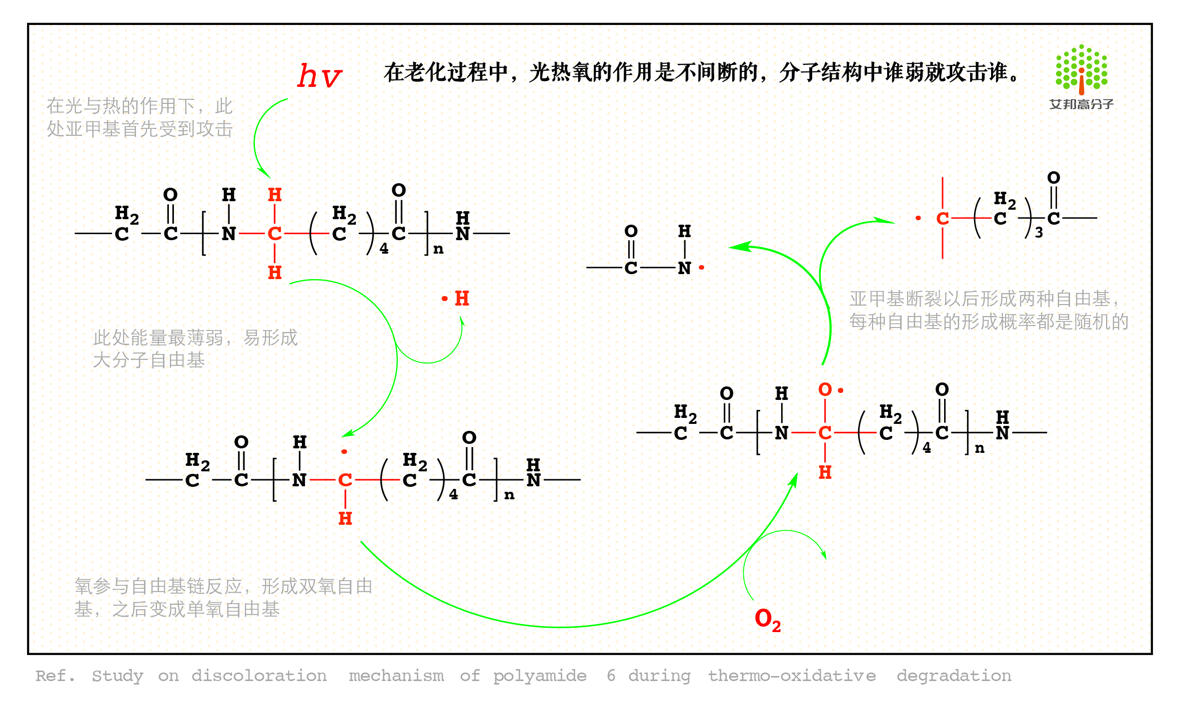 【評論】尼龍降解的秘密！