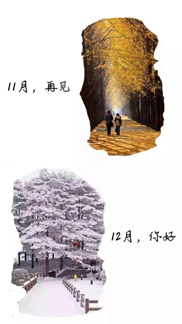 2018國際橡塑展，不用排隊，還能免費去上海迪斯尼？！這些福利和你只差一步預登記的距離！
