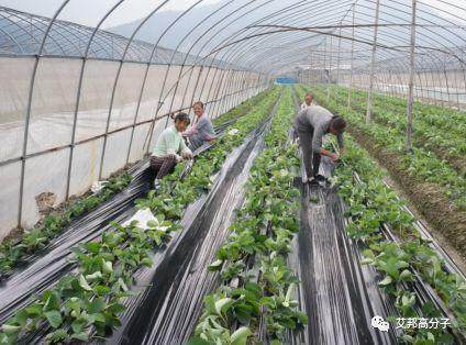 塑料在農業(yè)中的應用