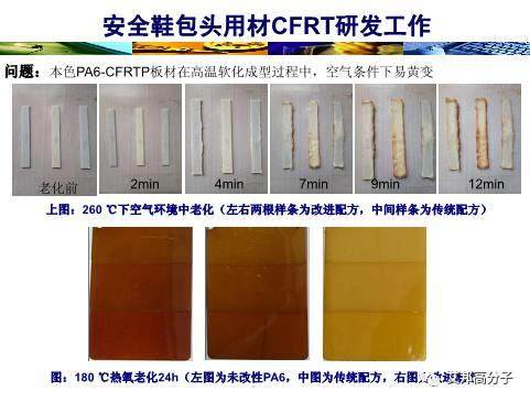 精彩回顧：連續纖維增強熱塑性塑料（LFT）在安全鞋的應用