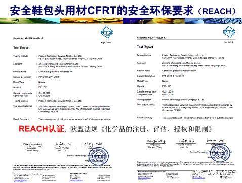 精彩回顧：連續纖維增強熱塑性塑料（LFT）在安全鞋的應用