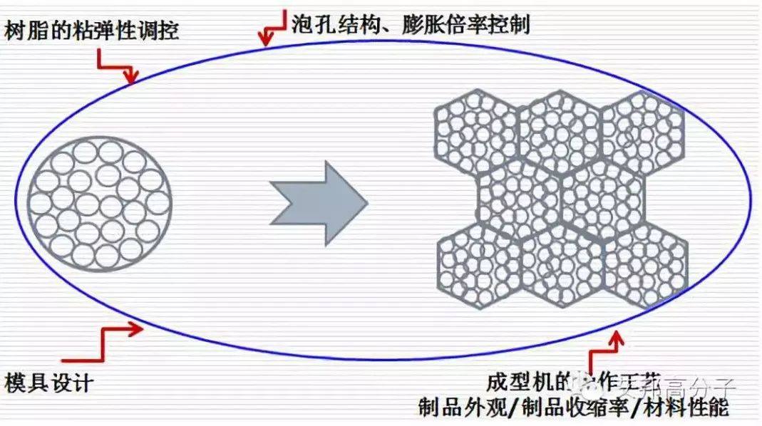 ETPU爆米花发泡工艺制备流程（视频）