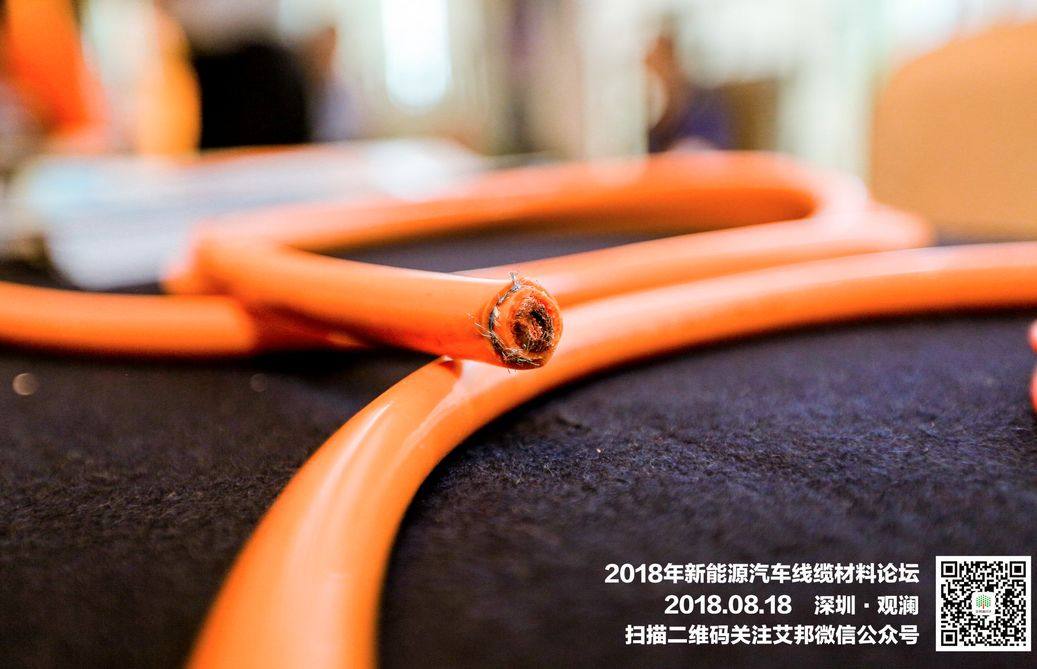 热烈庆祝2018年新能源汽车线缆弹性体材料及应用论坛顺利召开