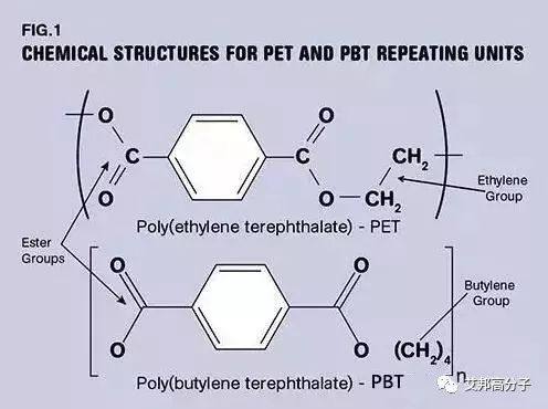 PET和PBT的区别