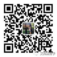 蘋果將在印度全面生產iPhone