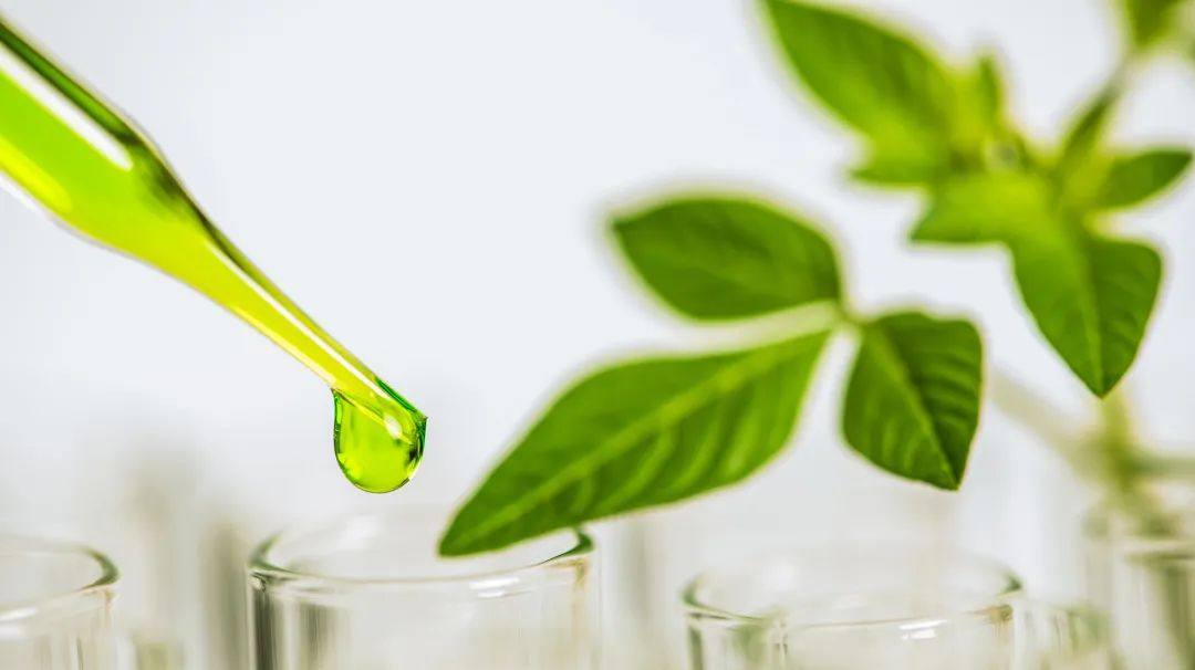 阿科玛将提升OLERIS®高性能生物基油脂化学品50%全球产能
