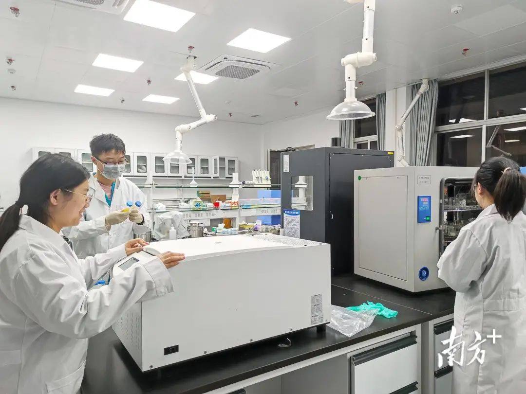韩江实验室携手三环、武汉理工启动智能手机陶瓷背板用精细氧化锆粉制备技术项目