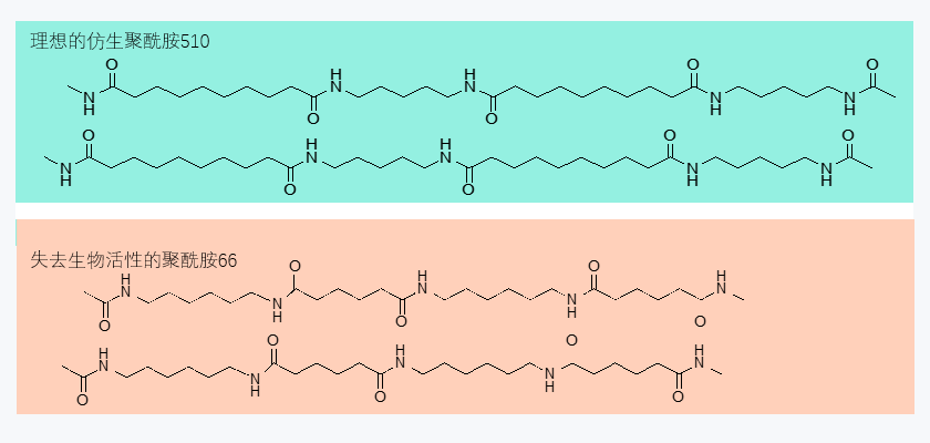 不仅东丽，凯赛生物100%生物基尼龙PA510也已量产