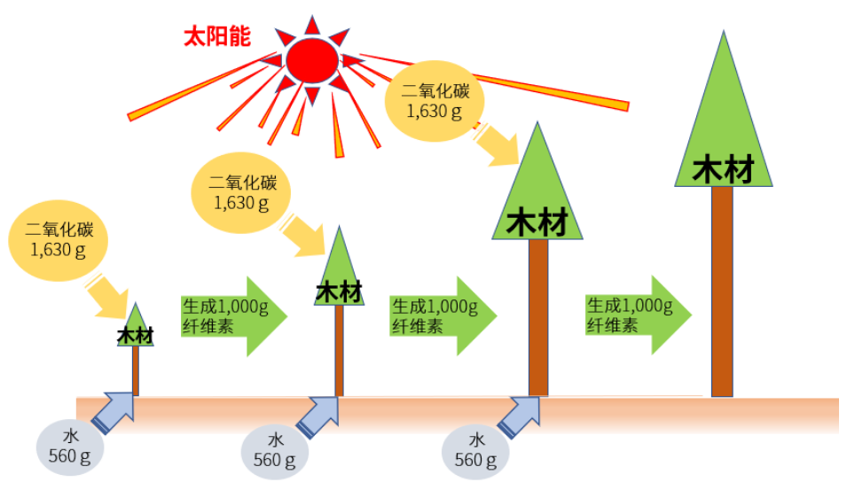 兼具轻量化与机械强度，宝理推出生物基材料长纤维素纤维增强热塑性树脂