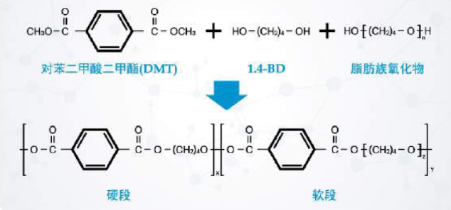 TPEE 热塑性聚酯弹性体的合成方法（附聚合生产商20强名录）