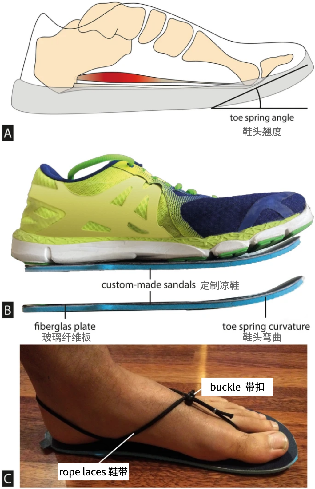 研究方向| 鞋尖翘度对人体步行生物力学的影响