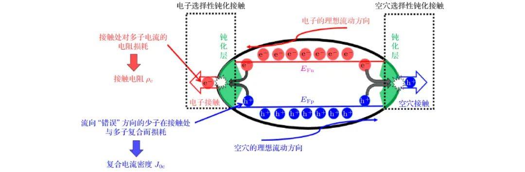 TOPCon太阳电池的研究现状与展望