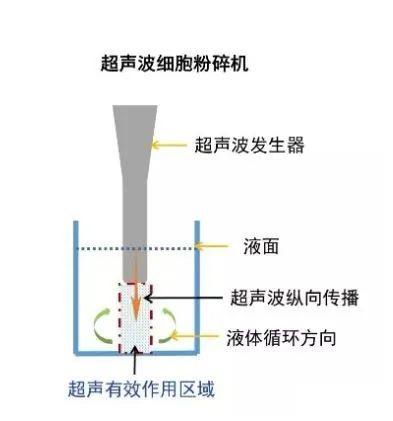 一文带你看懂锂电池匀浆工序！