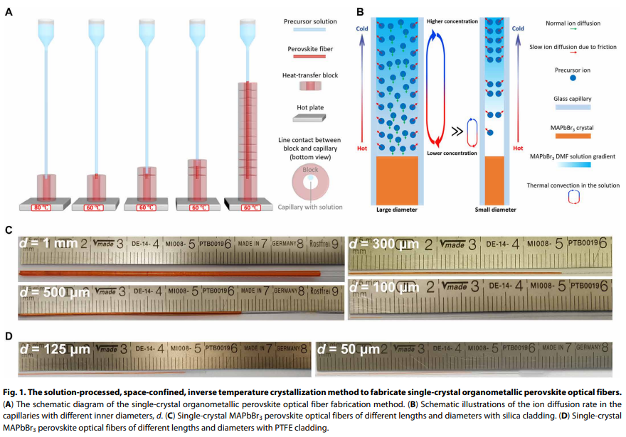 单晶钙钛矿光纤！最新Science Advances